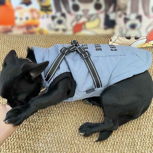 Doudoune chiens chaude et gilet imperméable pour petits chiens - 6