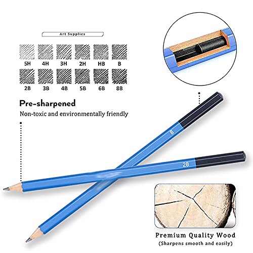 Amazon.co.jp: 60点/プロデッサン鉛筆炭ブラシ木箱デッサンツール木人