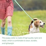 Hundehalsband und Leine, Halsband und Leine für kleine Hunde, Hundehalsbänder, hundehalsband, Bequeme verstellbares Hundehalsband, Hundehalsband und Leine Set, Welpenhalsband,Grün