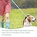 Hundehalsband und Leine, Halsband und Leine für kleine Hunde, Hundehalsbänder, hundehalsband, Bequeme verstellbares Hundehalsband, Hundehalsband und Leine Set, Welpenhalsband,Grün