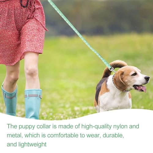 Hundehalsband und Leine, Halsband und Leine für kleine Hunde, Hundehalsbänder, hundehalsband, Bequeme verstellbares Hundehalsband, Hundehalsband und Leine Set, Welpenhalsband,Grün