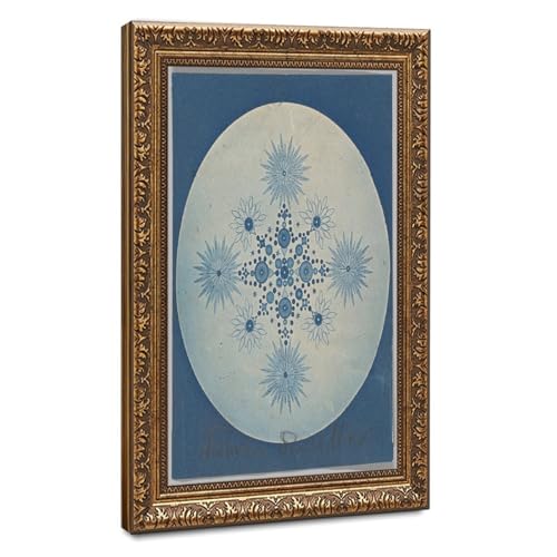 Photographie cyanotype antique de diatomées WCYB - Impression sur toile avec cadre 30x45 cm