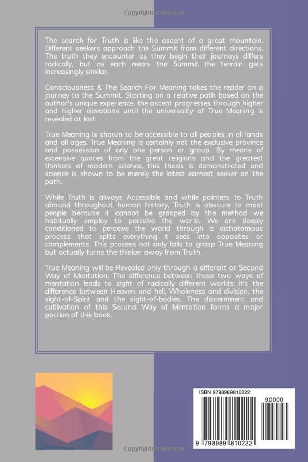 Consciousness & The Search For Meaning - Image 2