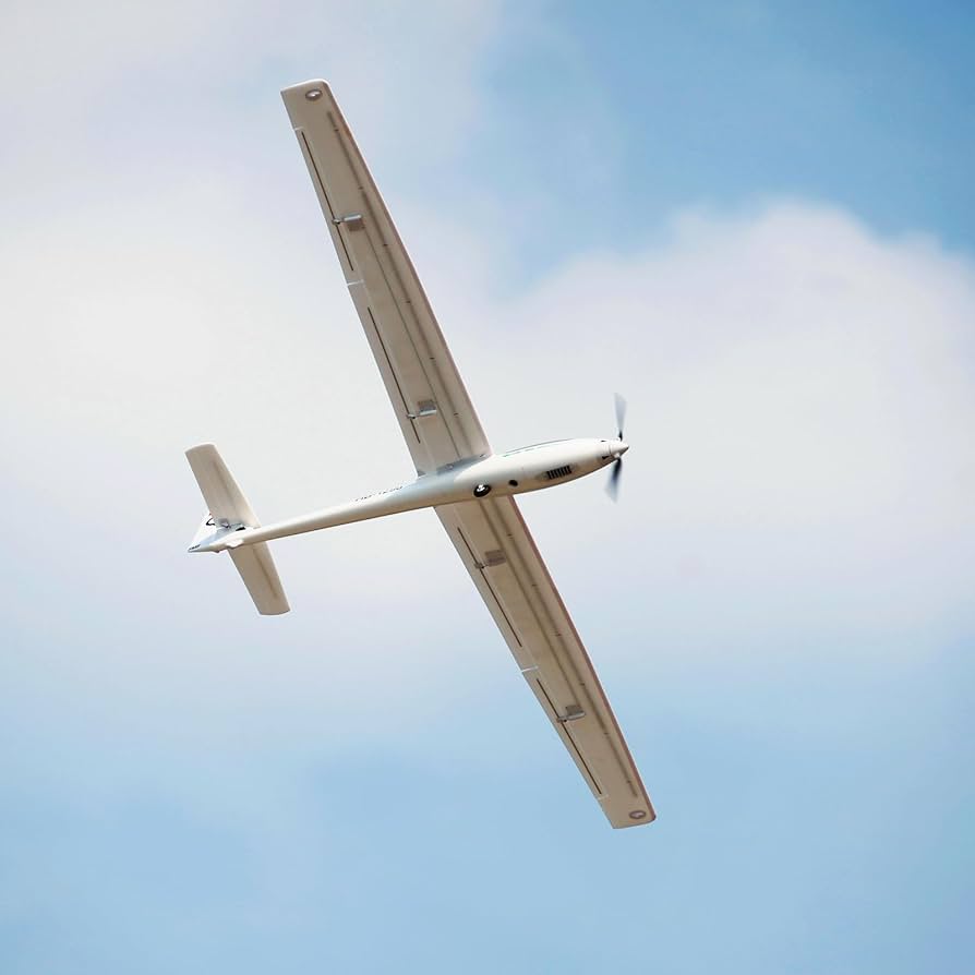 L*e様 CONTROL ELECTRIC SAILPLANE Amazon.com: Fms Rc Planes for Adults Remote Control Airplane