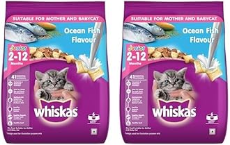 Junior Mother Cat & Kitten (2-12 Months) Dry Cat Food, Ocean Fish Flavour, 450 g, Contains 41 Essential Nutrients, Complete & Balanced Nutrition for Mother Cats & Kittens (Pack of 2)