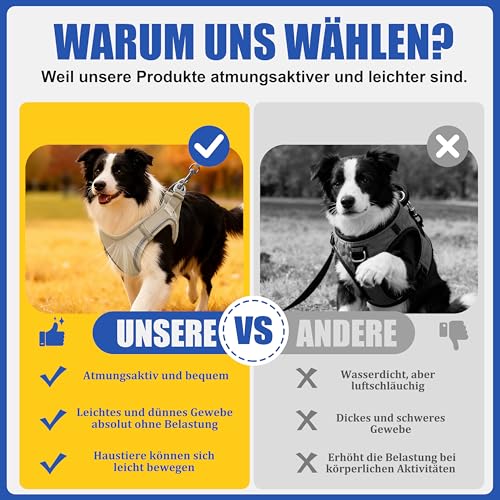 Hundegeschirr Set L mit 255cm Langer Leine – Gepolstertes Softgeschirr für mittlere Hunde – Sicherer Halt & Optimale Kontrolle durch Step-In Design – Beige