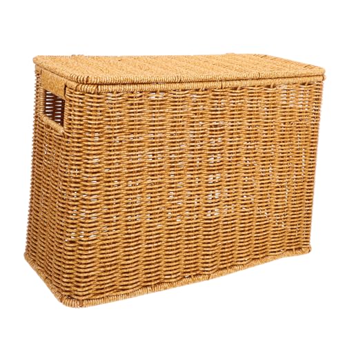 BESTYASH Cestino Rettangolare in Vimini Manico e Coperchio, Organizer per Riviste, Giocattoli e Verdure, Contenitore Decorativo per Casa e Studio