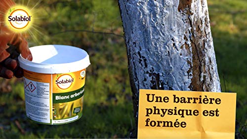 Blanc Arboricole Solabiol Éliminer Mousses et Champignons des Troncs