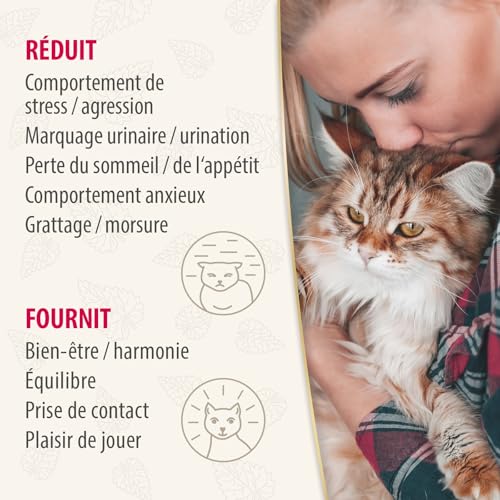 Felisept Home Comfort Set Diffuseur Chat Anti Stress + Recharge 45 ml - Calmant pour chat - Anti-Stress Chat - Avec De L'Herbe À Chat Naturelle sans Phéromones pour chat -Relaxation Pour Les Chats – vue 6