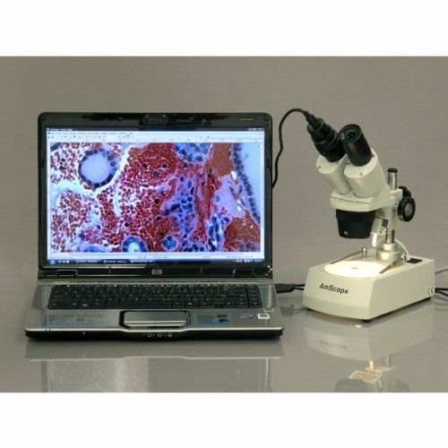 AmScope SE306R-PZ-LED Forward-Mounted Binocular Stereo Microscope WF10x and WF20x Eyepieces 20X/40X/