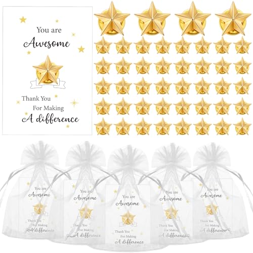 Nosiny 50 Set Star Pins Employee Appreciation Gift Include Star Badge Lapel Pins Bulk Inspirational Greeting Cards and Bag Christmas Thank You Gift for Nurse Women Team Volunteer Student Teacher