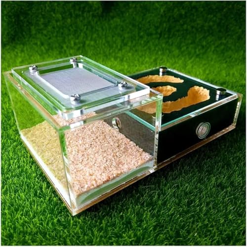 TIST Modelo magnético, acrílico biomimético, Vidrio, Yeso, Taller de Hormiguero, Caja de Hormiguero, Hormiguero ecológico for Mascotas, Hormiguero, Regalo de cumpleaños