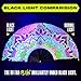 GloFX UV Glow Mandala Rave Handheld Fan - Teal, Pink, Purple & Green Design - Large Folding Fan for Festival Fashion, Essential Rave Accessories for Women, Foldable Hand Fan for Music Festival Outfits