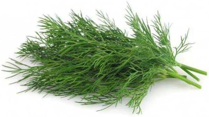 DEREOTU KOKULU (ÇOKLU TOHUM) - 5 Gram