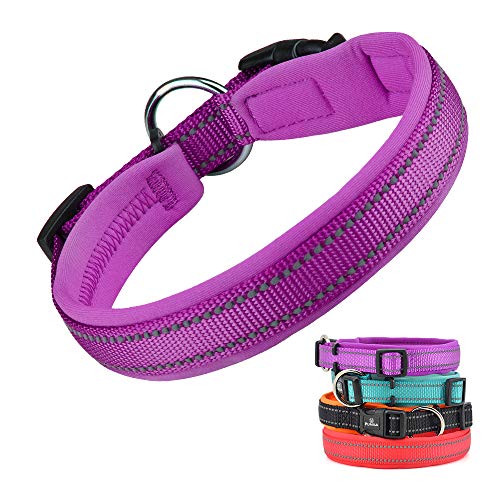 Comfortable Dog Collars Best Family Pets