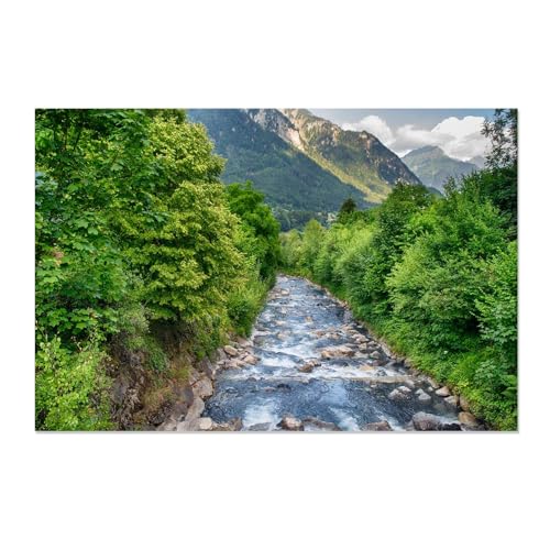 Rivière qui coule paysage nature impression sur toile moderne tableau 50x75