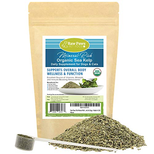 Best Kelp For Cats
