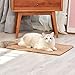 FUKUMARU Cat Scratcher Mat, 23.6 X 15.7 Inch Natural Sisal Cat Scratch Mats, Horizontal Cat Floor Scratching Pad Rug with Sticky Tapes, Protect Couch and Carpets