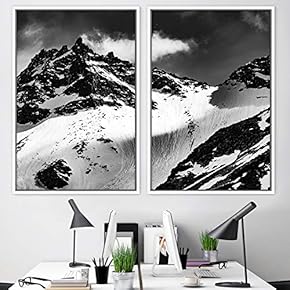 signwin 2 Piece Framed Canvas Wall Art Monochromatic...
