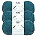 (3 Pack) Lion Brand Yarn 215-178A Feels Like Butta Yarn, Teal