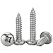 SS316 Stainless Steel M2.2 M2.9 M3.5-M6.3 Phillips Pan Head Self Tapping Screws (100,M3.9 x 16mm)