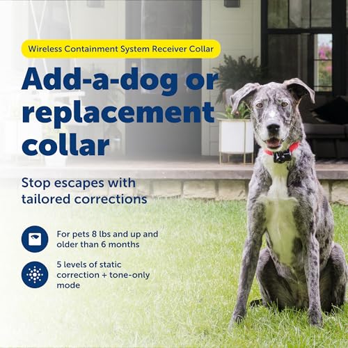 PetSafe Wireless Pet Fence Containment System Receiver Collar Only for Dogs and Cats Over 5 lb., Waterproof with Tone and Static Correction - from The Parent Company of Invisible Fence Brand - Image 2