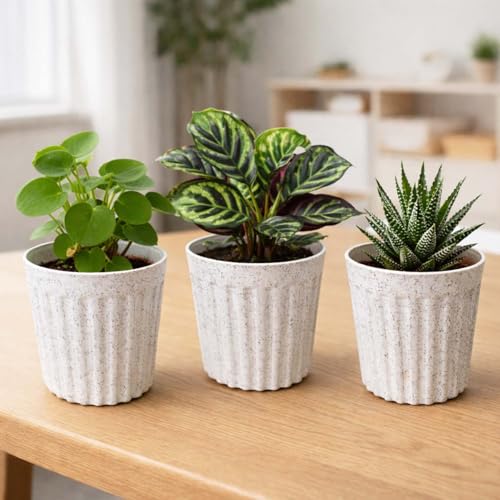 Image of Go Hooked 6 Inch Plastic Plant Pot Set of 3 | White Marble Texture Ribbed Planters, Stylish Modern Design | Decorative Indoor Outdoor Flower Pots for Balcony, Living Room, Garden, Home & Office Decor