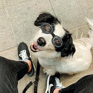   Enjoying-Dog-Goggles-Replaceable-Dog-Eye-Protection-Glasses-Adjustable-Strap-UV-Protection-Sunglasses-for-Medium-Dogs