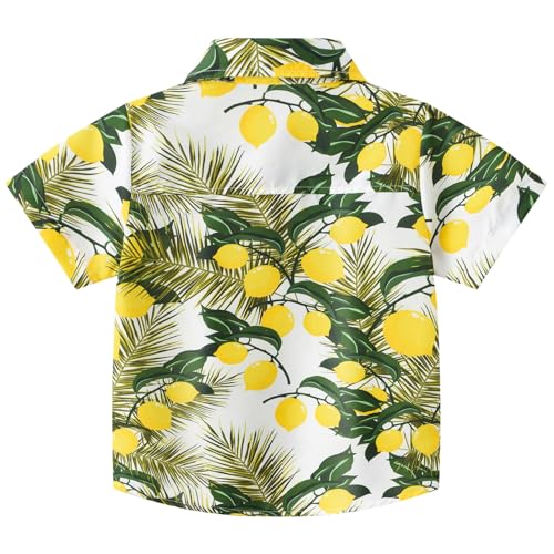 Chemise Hawaïenne à manches courtes pour des vacances à la plage en garçon 6-7 ans
