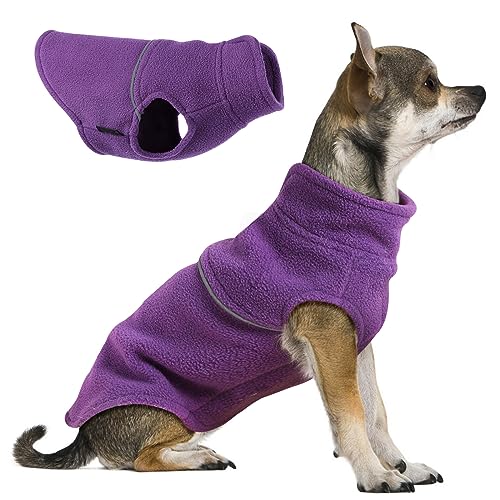 XXS Hundepullover Für Kleine Hunde - Gestrickter Winterpullover Für Chihuahua, Yorkie & Dackel