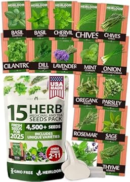 Top 5 Indoor Gardening Seeds You Didn't Know You Needed 2 seeds for indoor gardening