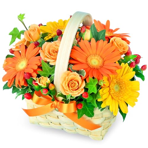 11月の誕生花（ガーベラ） 花キューピット 誕生日 お祝い 記念日 プレゼント 感謝 お礼 ギフト オレンジ＆イエローのアレンジメント ya11-511335 - 花キューピット - 商品画像