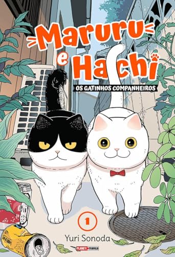 Maruru e Hachi: Os Gatinhos Companheiros 01