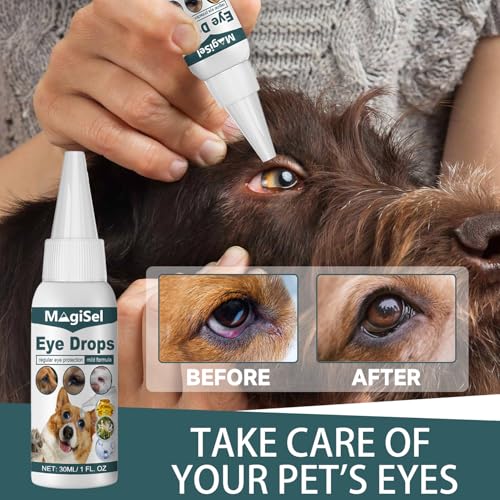 MagiSel Spezial Augentropfen für Hunde und Katzen 30 ml, Augentropfen für Hunde & Katzen mit kolloidalem Silber, Augentropfen Kolloidales Silber Hund, Augenpflege – Juckreiz, Reizung, Tränenflecken