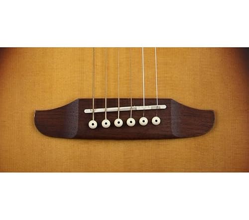 Amazon.com: Fender Redondo Mini Acoustic Guitar, with 2-Year