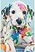 QIAOYUE Pintar por números para dálmatas Perro Adulto y niños Kit de Pintura DIY Principiante Pintura Arte Lienzo preimpreso 40X50CM sin Marco