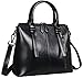 Heshe Womens Leather Shoulder Handbags Tote Top Handle Bags Crossbody Handbag and Satchel and Purse for Ladies (Black-R)