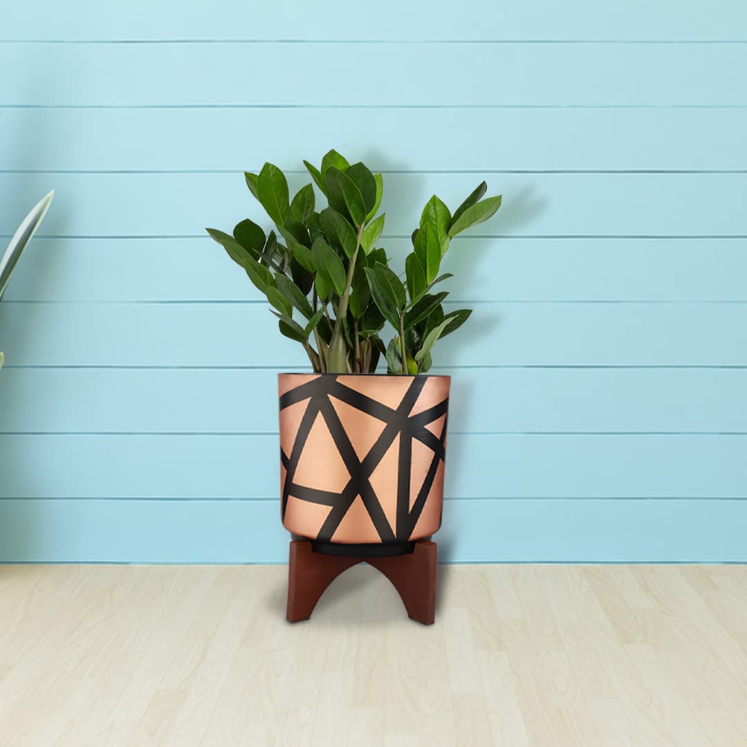 TrustBasket Sizzle Metal planter with wooden stand | Attractive metal planter with the aesthetic wood stand for Home Gardening, Workspace, Living room & Balcony. (B0B4WQCWPP) Amazon Price History, Amazon Price Tracker