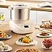 Joydeem Electric Dough Maker, 9.5Qt with Winter & Summer Fermentation, Dual Functions (MIX for Dough/Kneading, BLEND for Filling) - Ideal for Bread, Pizza, Roti, Dumplings, Sourdough, HMJ-A901