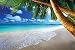 Sandy beach with palm trees and the sea photo wallpaper - paradise beach and palm trees mural - XXL beach wall decoration 82.7 Inch x 55 Inch