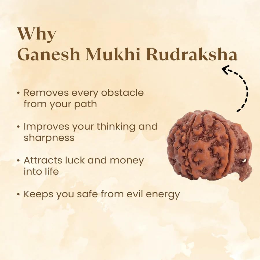 Image of Astrotalk Ganesh Mukhi Rudraksha | Remove Obstacles & Unlock Success | Wisdom, Protection & Confidence | Sacred Rudraksha Bead for Women & Men
