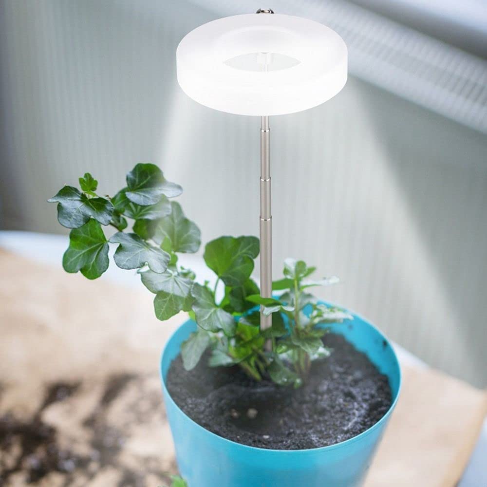 Andy's Orchids Luz LED de crecimiento, altura ajustable, espectro completo, 360 lúmenes, 40 cuentas LED, alimentación por USB, blanco, acrílico y metal, diseño moderno, uso en interiores