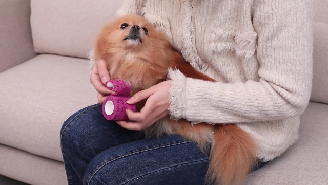 12 Selbstklebende Bandagen Für Haustiere - 5cm X 4,5m, Vliesstoff