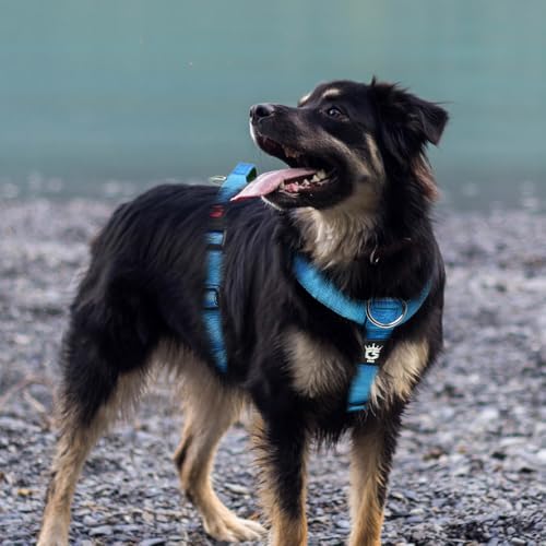 TSPRO Taktisches No-Pull Schwerlast-Hundegeschirr mit Griff & Schnellöffnungsverschluss, Stabil Adjustierbar für Mittelgroße bis Große Hunde zum Wandern und Laufen (Khaki M)