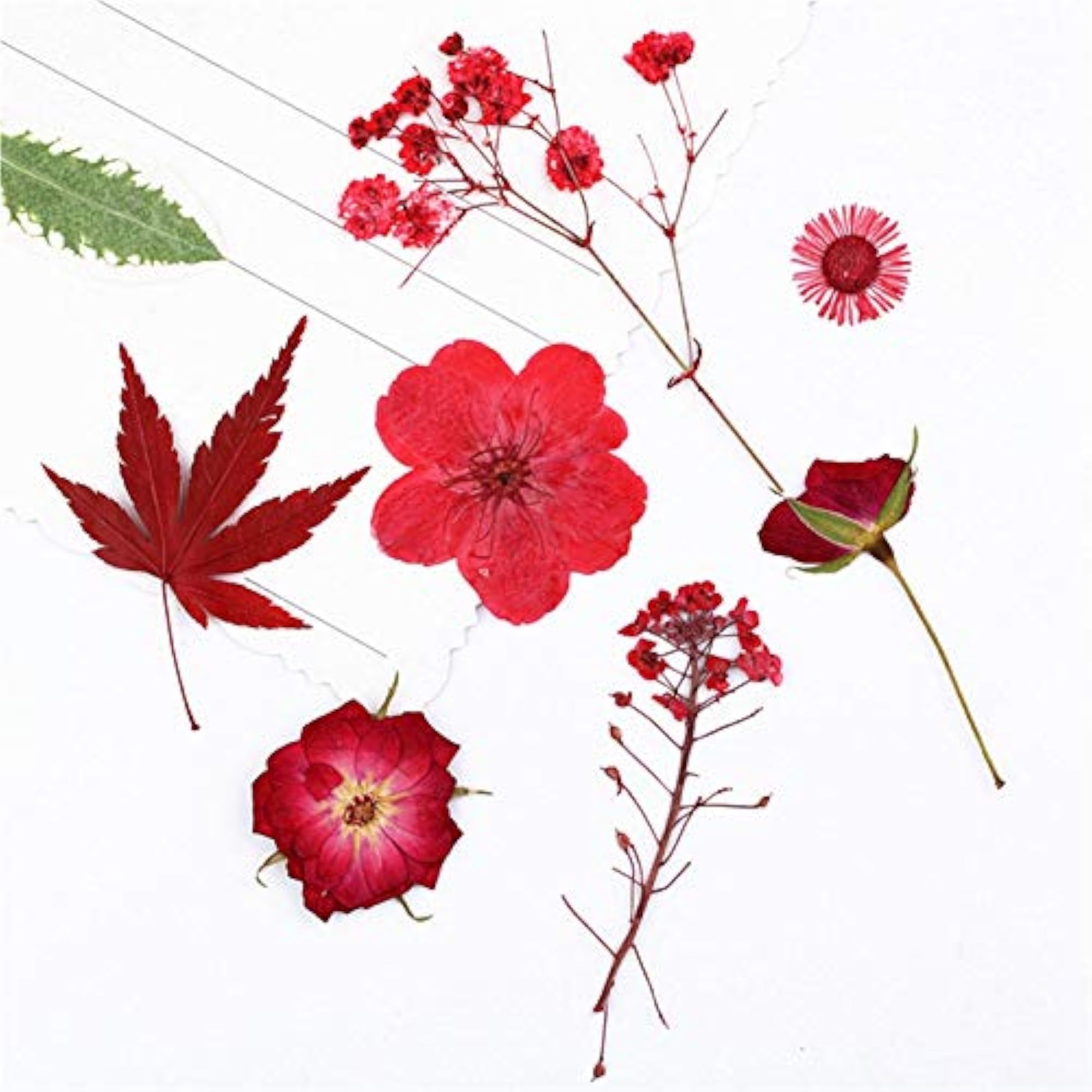 18PCS Creative Natural Dried Craft Flowers Set
