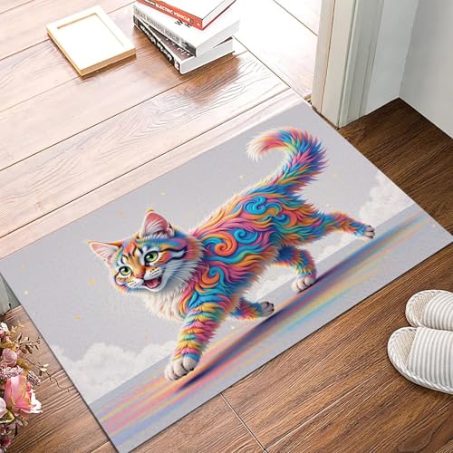 Paillasson intérieur 50x80cm absorbant résistant et lavable