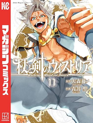 杖と剣のウィストリア（１１） (週刊少年マガジンコミックス)