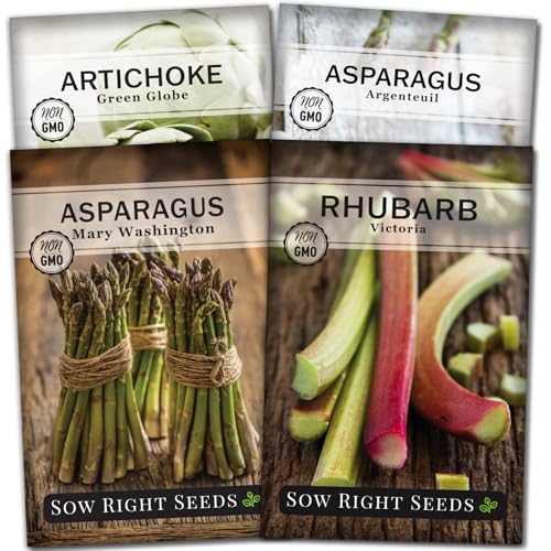 Sow Right Seeds - Perennial Vegetable Seed Collection for Planting - Artichoke Rhubarb and Asparagus - Tasty and Nutritious Favorites for Outdoor Garden - Non-GMO Heirloom Packets with Instructions