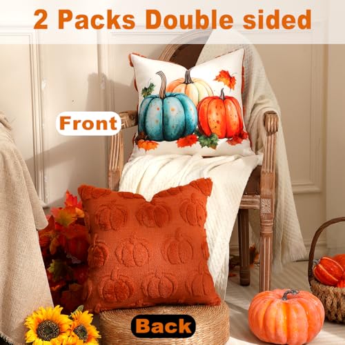TOYPOPOR Fall Decorations, 2 Packs Double Sided Throw Pillow Covers, Rust Red Soft Faux Fur Pumpkin Pillow Cases Autumn Harvest Thanksgiving Indoor Outdoor Home Decor for Living Room Porch Couch 16x16
