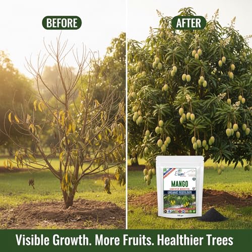 Erwon Mango Growth Booster, Premium Essential Powerful Organic Fertilizer For Overall Growth Of Mango Plants, With Charged Micro-Organism And ++ Micronutrients (900 Gm), Powder